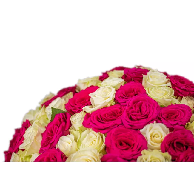 Bouquet of pink and white roses